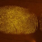 It’s red, it’s blue: new colour boosts forensic fingerprint detection