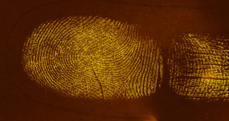 Image for It’s red, it’s blue: new colour boosts forensic fingerprint detection