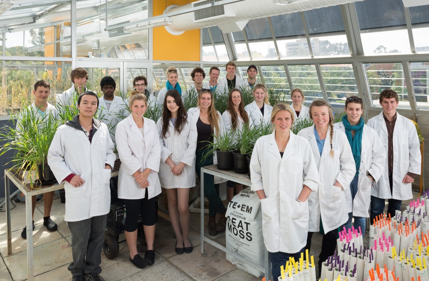 Image for Curtin’s Agribusiness bounces back