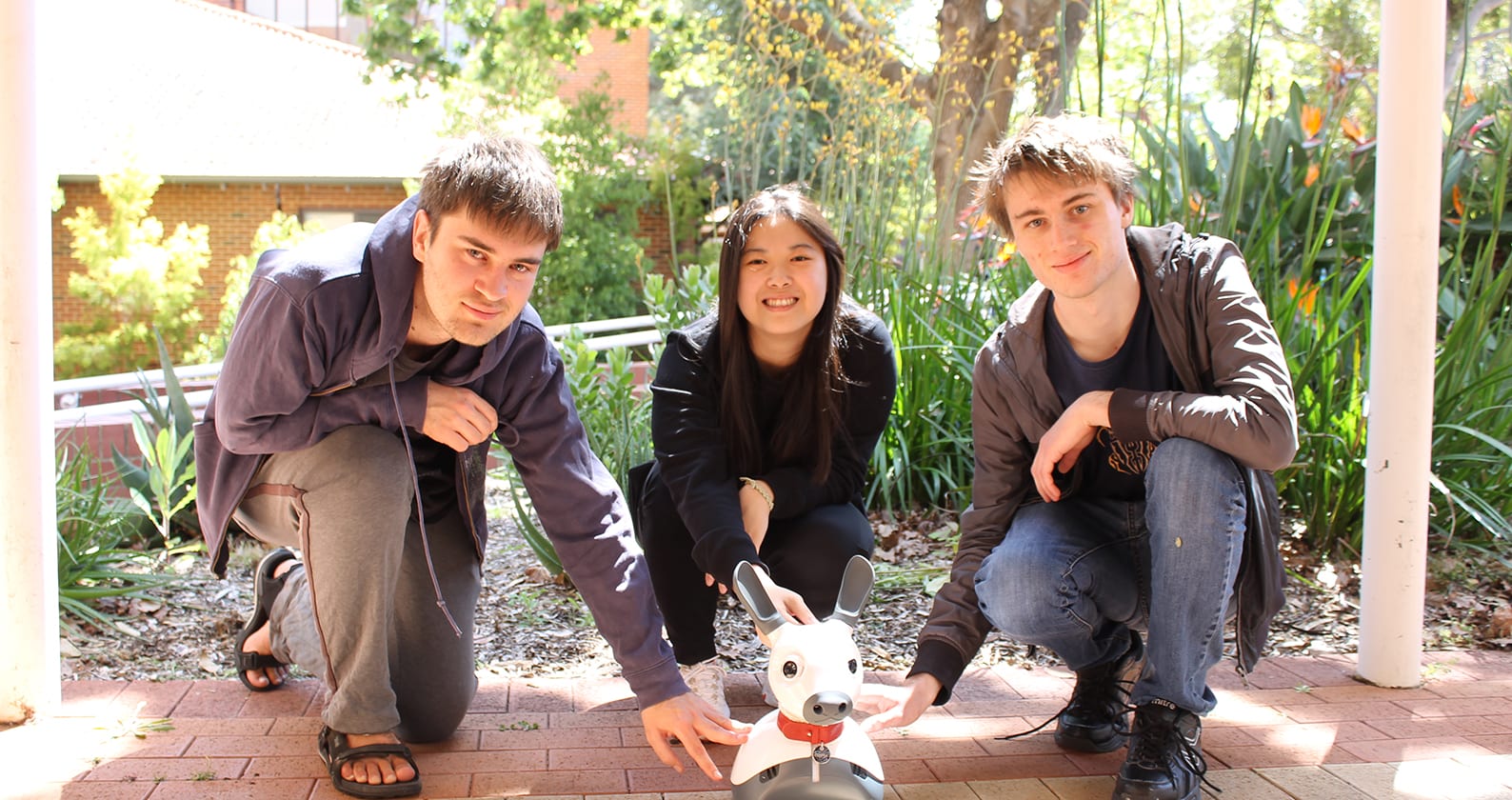 Image for Joint research project to bring pet robot ‘puppy’ to aged care residents