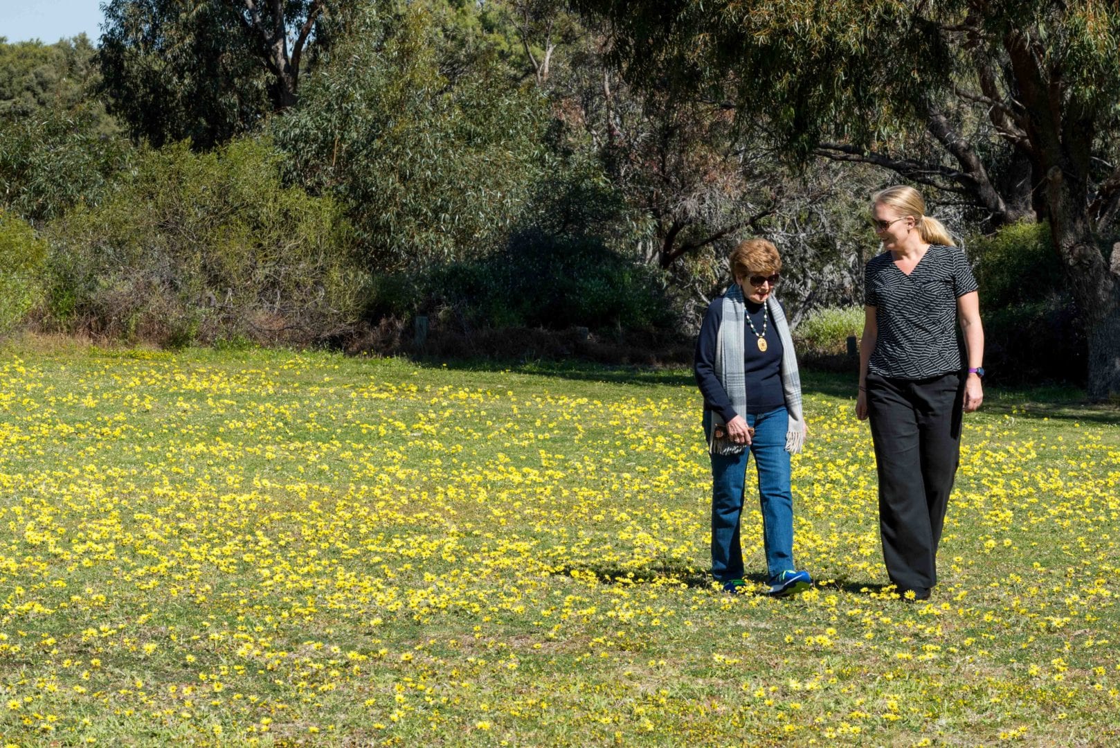 Image for Collaborative research encourages older people to move