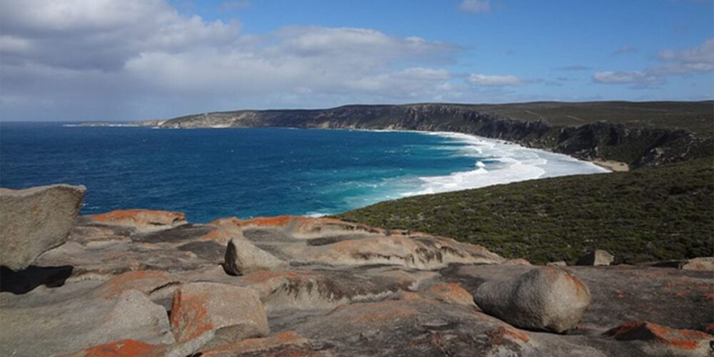 Image for Ancient bones provide clues about Kangaroo Island’s past and future