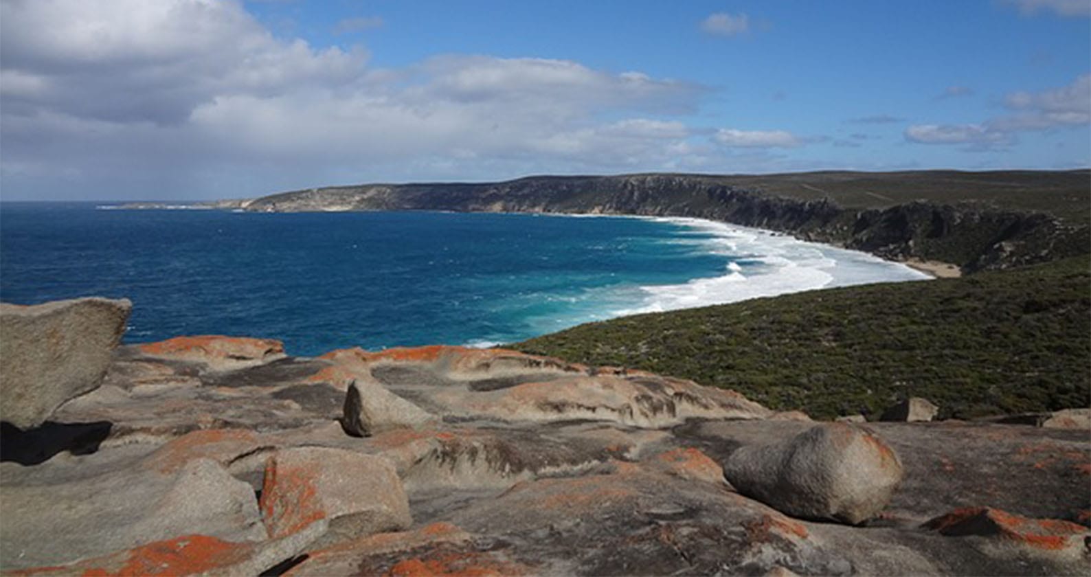 Image for Ancient bones provide clues about Kangaroo Island’s past and future