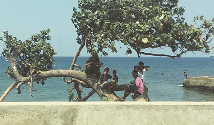 Image for Students experience real international relations in Timor-Leste