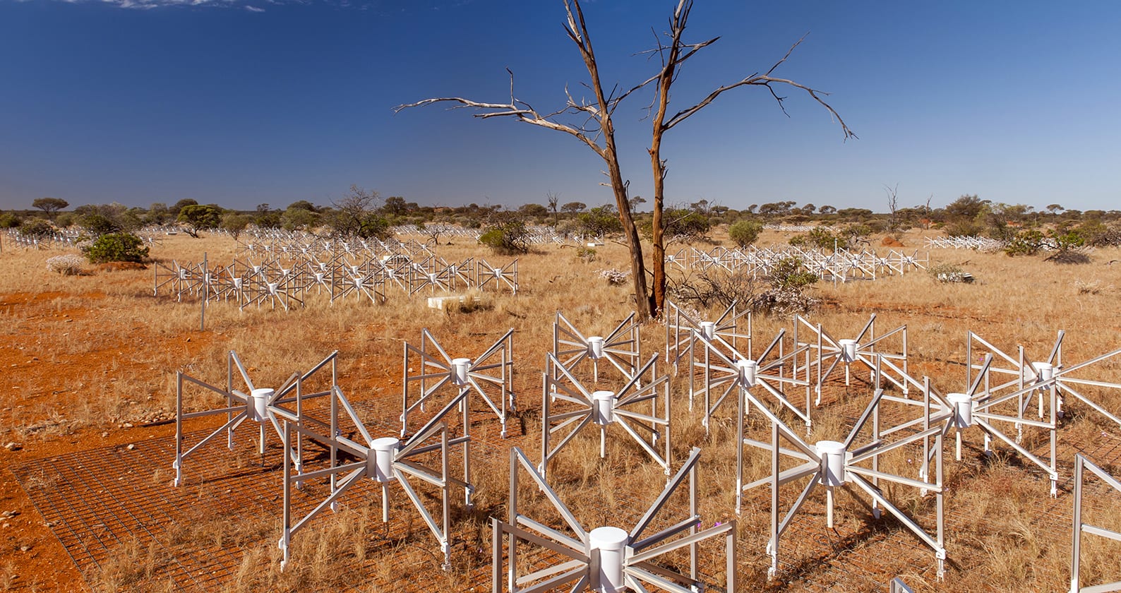 Image for Preparations complete in Western Australia for construction of world’s largest telescope
