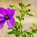 The roots of reconciliation