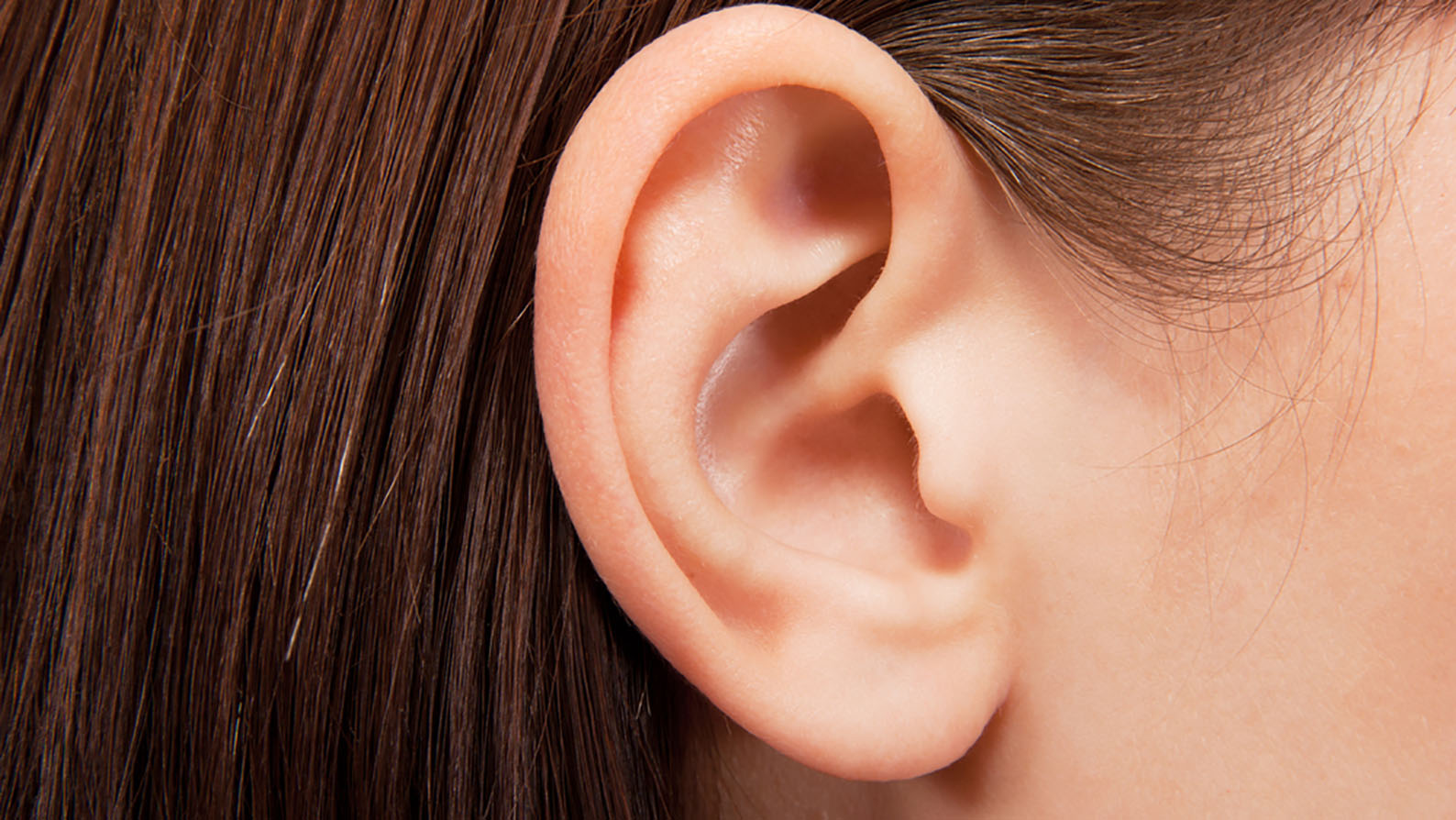 Image for Curtin projects amplify hearing healthcare in the community