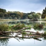 Curtin research creates faster, on-site way to detect PFAS