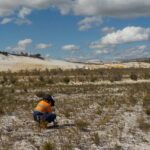 Curtin research finds clues to mine site restoration effectiveness in soil