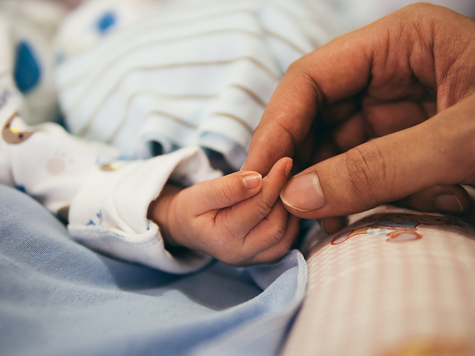 Image for Study shows preterm birth risk most strongly linked to pre-eclampsia