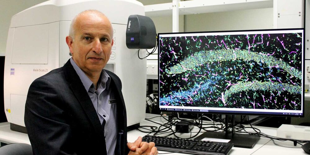 Image for New Curtin research identifies likely cause of Alzheimer’s disease