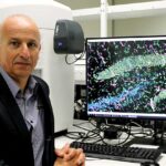 New Curtin research identifies likely cause of Alzheimer’s disease