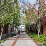 University-wide accessibility enhances experiences for students with disability