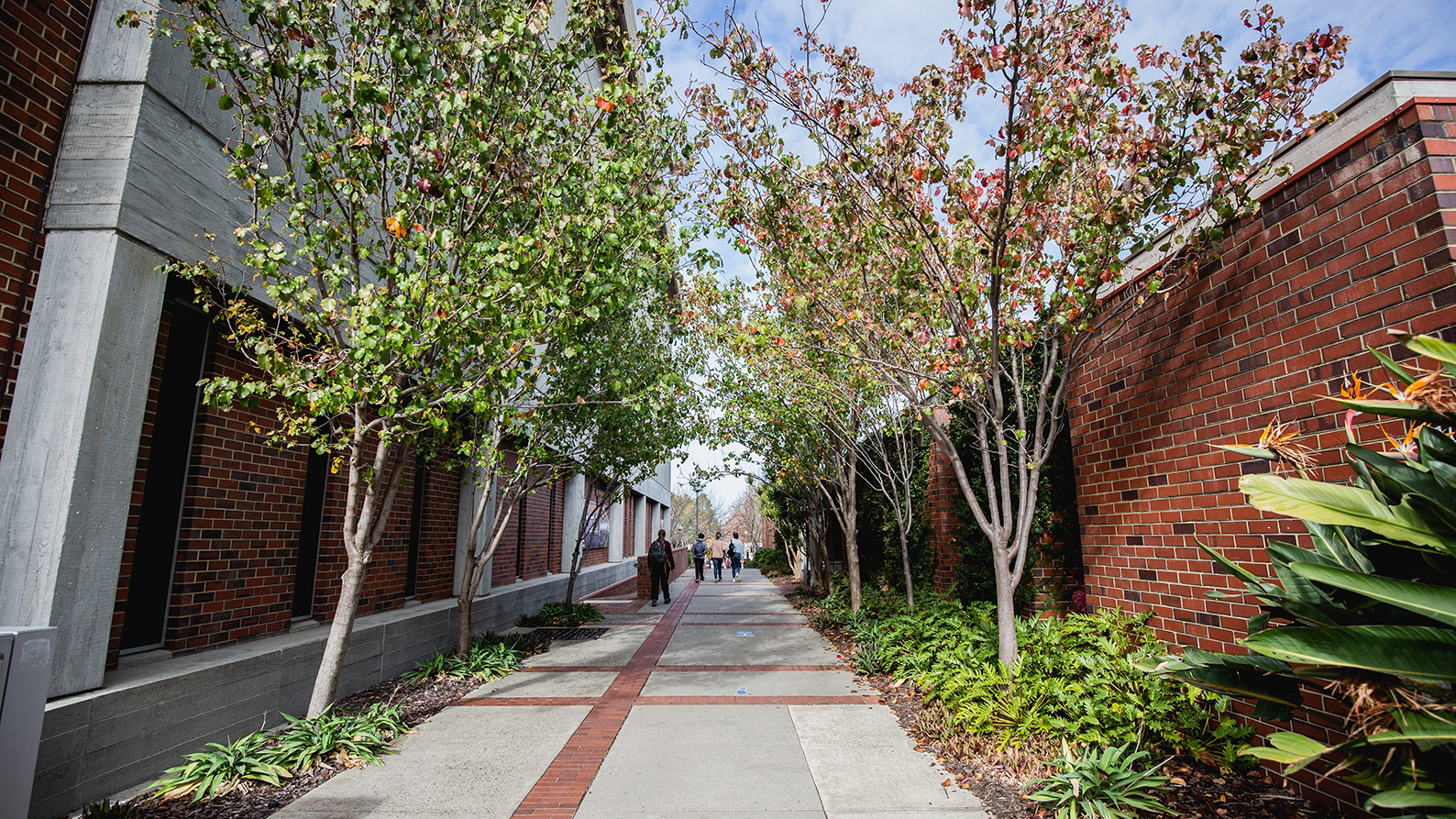 Image for University-wide accessibility enhances experiences for students with disability