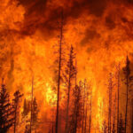 Study finds soil erosion and wildfire another nail in coffin for Triassic era