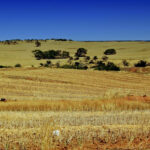 Research project to find herbicide options for tackling resistance
