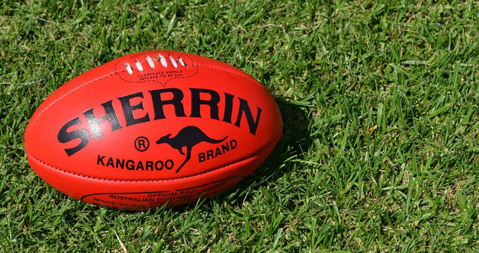 Image for Curtin program uses AFL clubs to improve male footy fans’ health