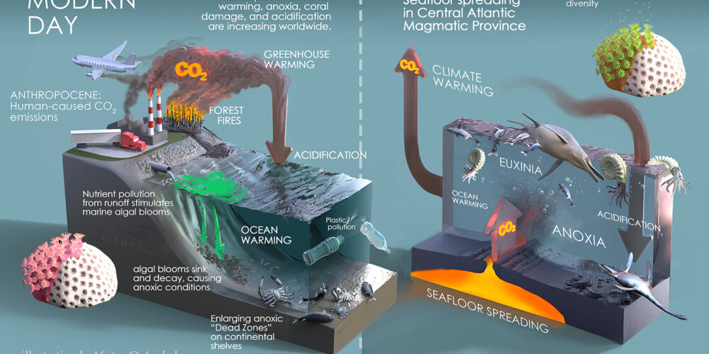 Image for New study pinpoints twin triggers of Triassic era extinction event