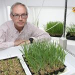 Curtin Professor launches international guide to tackling crop disease