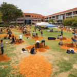 SANDitecture: where sand and assignment collide
