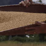 Old traditions for a new market