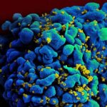 Research recommends home HIV tests in Australia