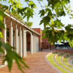 Curtin awards leading researchers with distinguished title