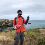 Tiger snakes tell more about local wetlands’ pollution levels