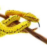 Tuning out the fear