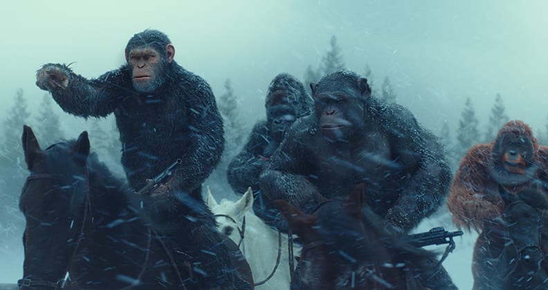 Image for Young alumni stories: Oscar nomination for digital design grad