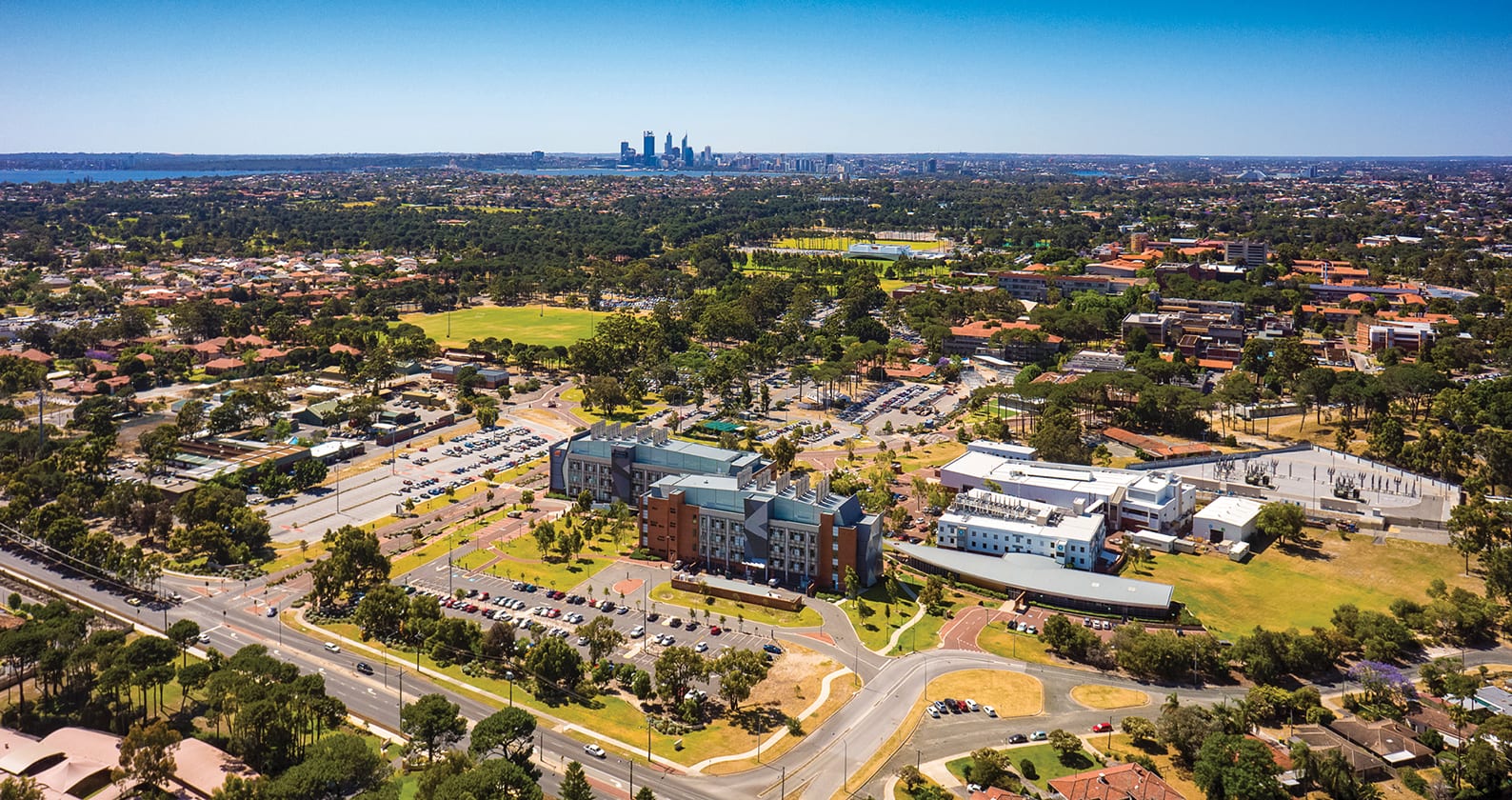 Image for Curtin awards six new Emeritus Professors