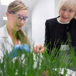 New $100 million grains research centre at Curtin to lift farm productivity