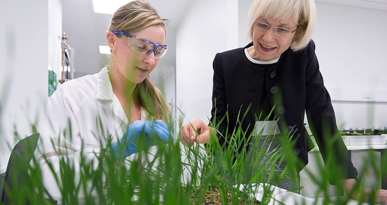 Image for New $100 million grains research centre at Curtin to lift farm productivity