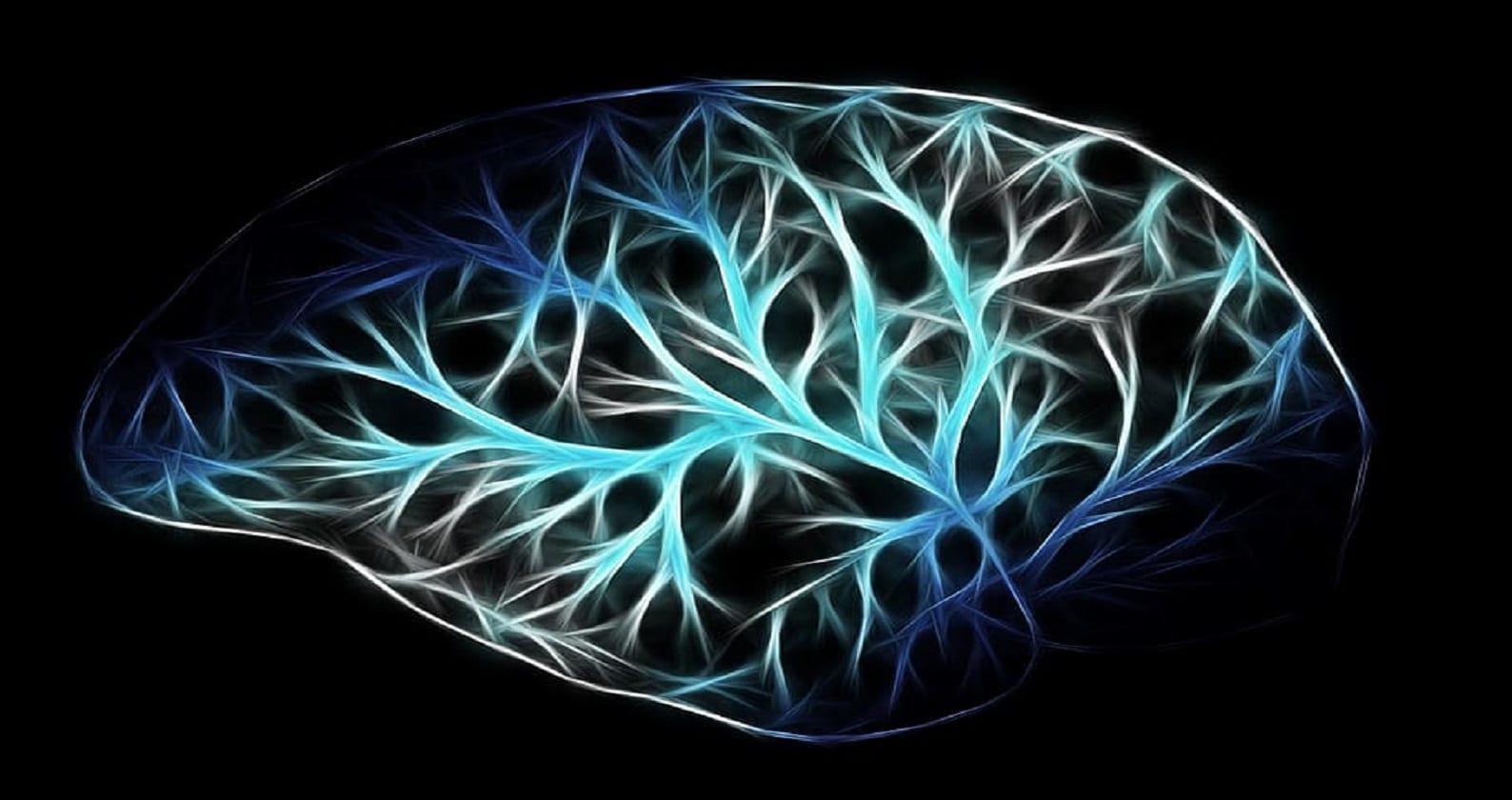 Image for Curtin project awarded funding to test new treatment for Alzheimer’s disease