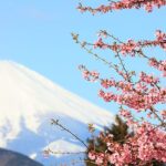 Strategic affairs expert reinforces Australia’s ties with Japan