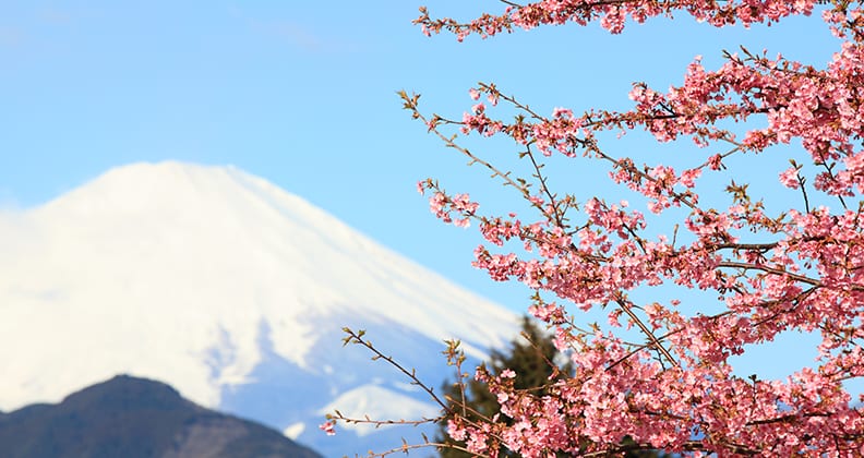 Image for Strategic affairs expert reinforces Australia’s ties with Japan