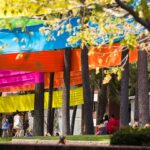 Curtin rises in world’s top 50 young universities ranking