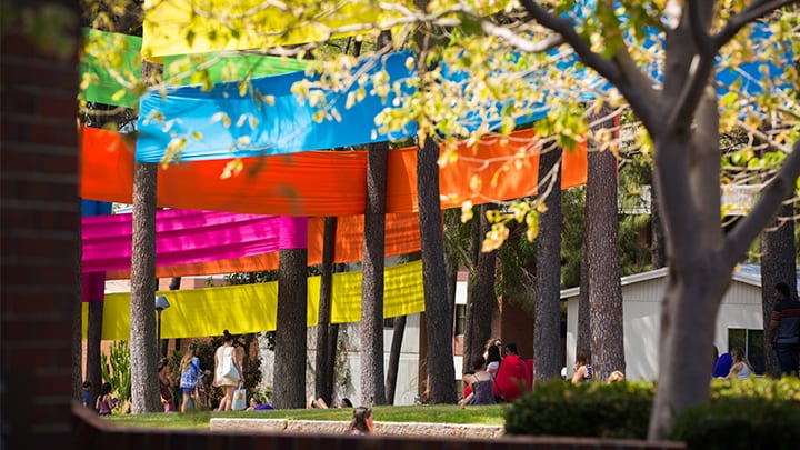 Image for Curtin rises in world’s top 50 young universities ranking