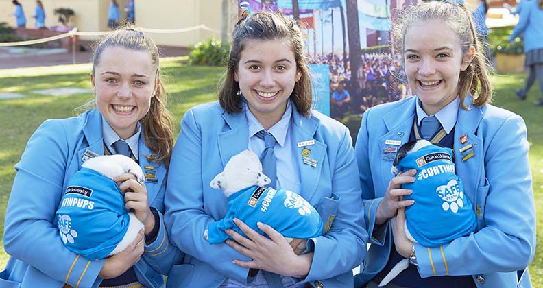 Image for Curtin PUPS brings ‘pawsitivity’ to St Hilda’s high school