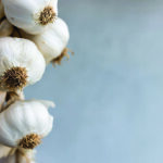 Could garlic hold the key to curing Alzheimer’s disease?