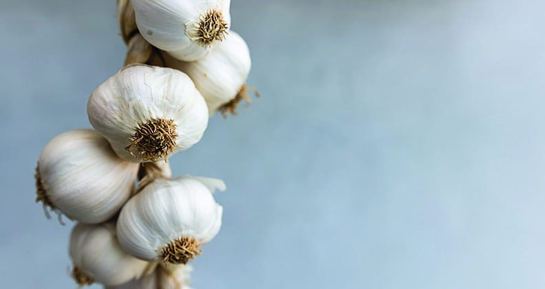 Image for Could garlic hold the key to curing Alzheimer’s disease?