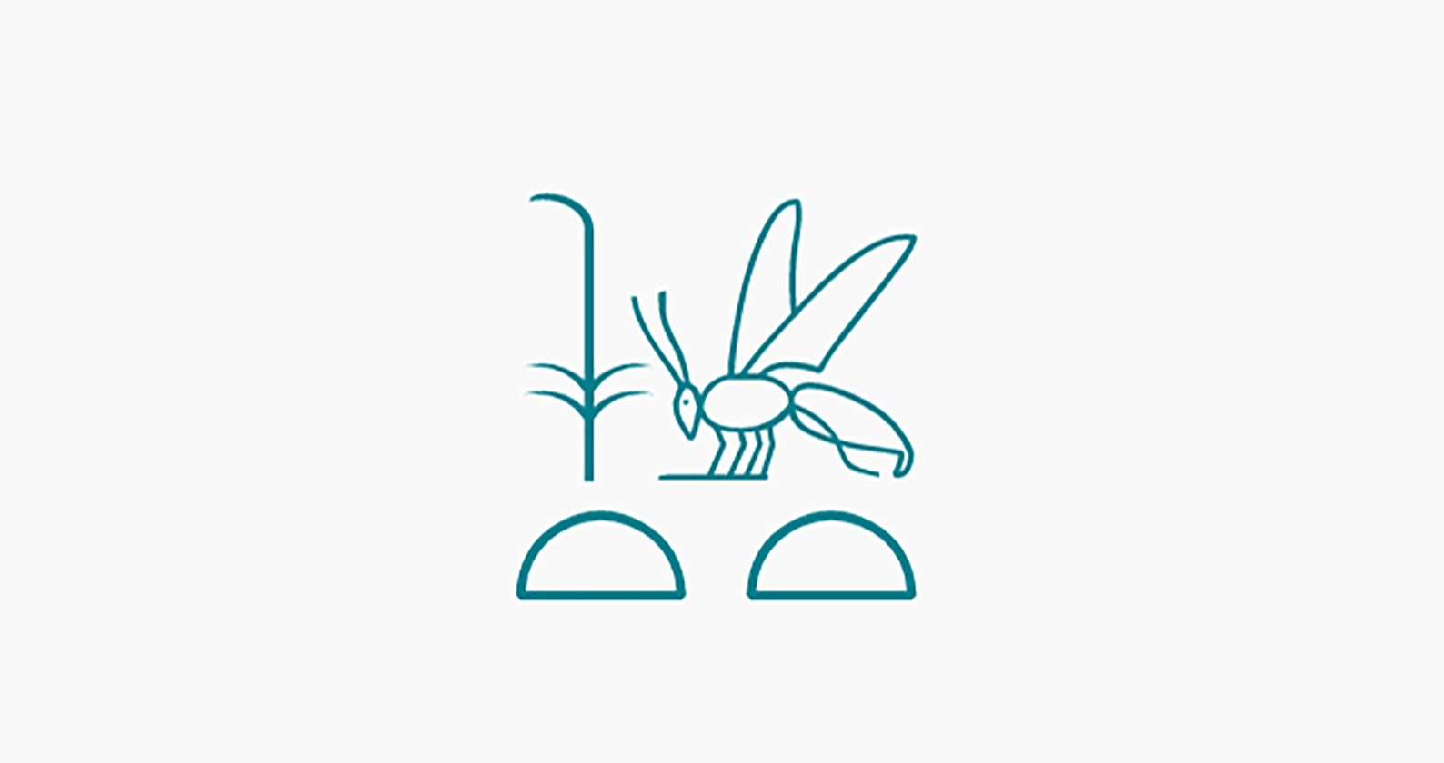 Image for The enduring buzz around bees inspires art and culture through the ages