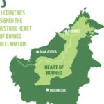 GlobCom 2015: Competing ideas to preserve the Borneo rainforest
