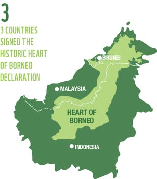 Image for GlobCom 2015: Competing ideas to preserve the Borneo rainforest