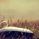 Lessons in love