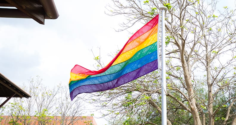 Image for Curtin supports the trans, gender diverse and intersex community