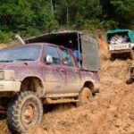 Muddy tracks to roads using bacteria