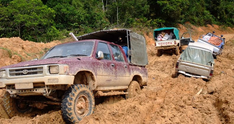 Image for Muddy tracks to roads using bacteria