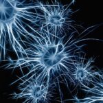 Study finds tiny cannabis capsules could help treat neurological diseases