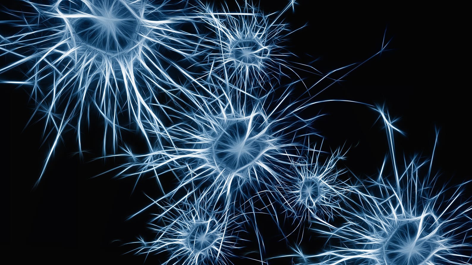 Image for Study finds tiny cannabis capsules could help treat neurological diseases